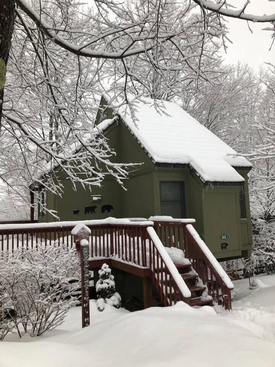 Nestled in the woods