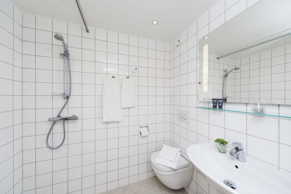 Shower, free toiletries, hair dryer, towels