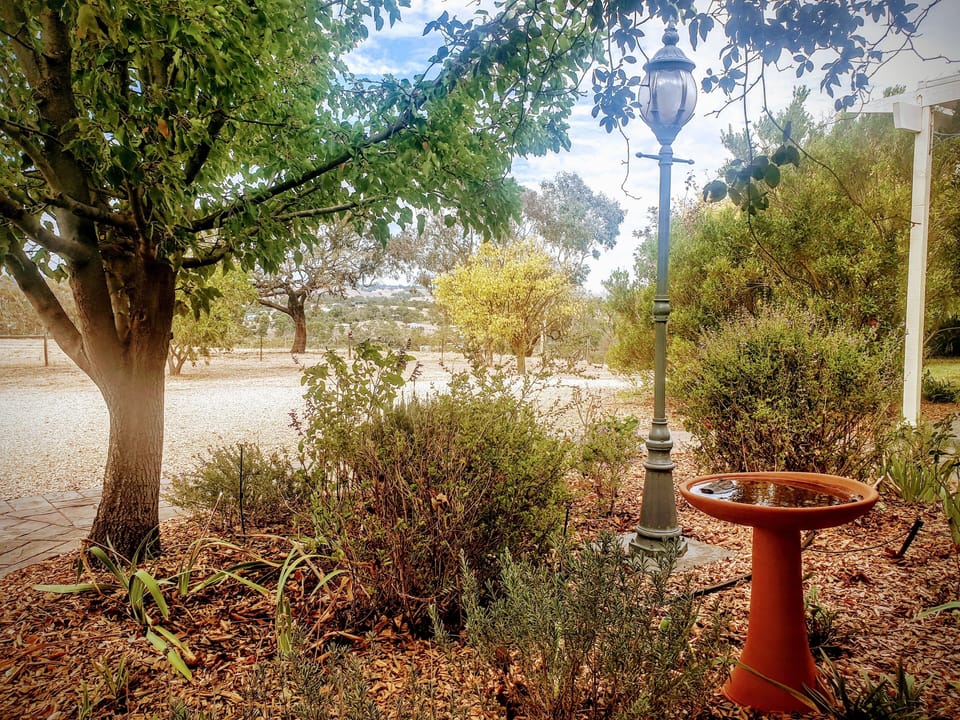 View of front driveway.