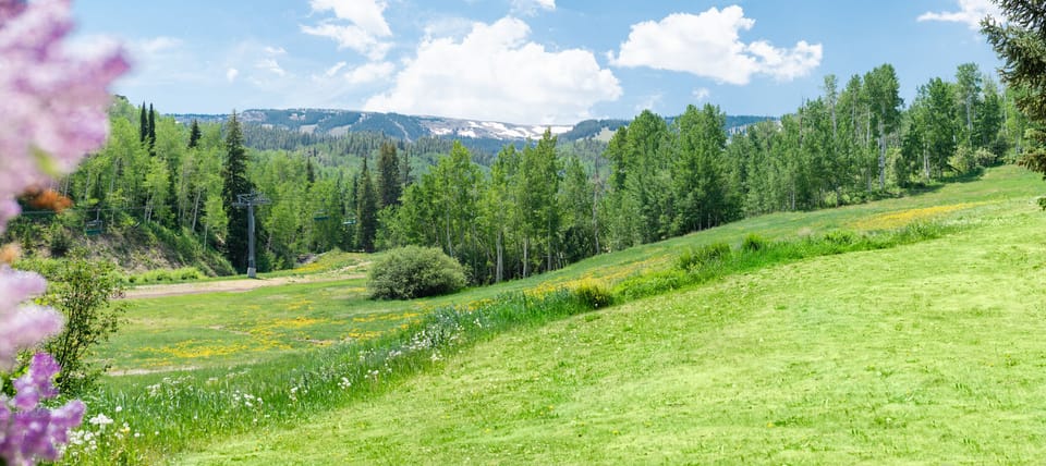 Snowmass Mountain