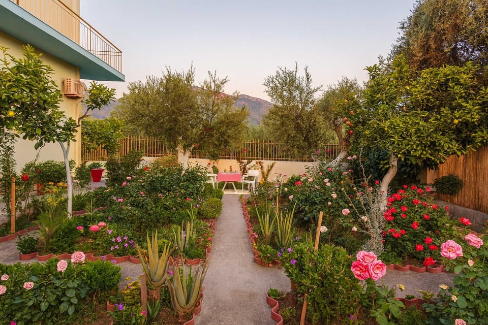 Dine or Relax Outdoors in a Garden Surrounded by Nature
Whether it’s breakfast in the morning sun or dinner under the olive trees, this tranquil spot is a guest favorite.