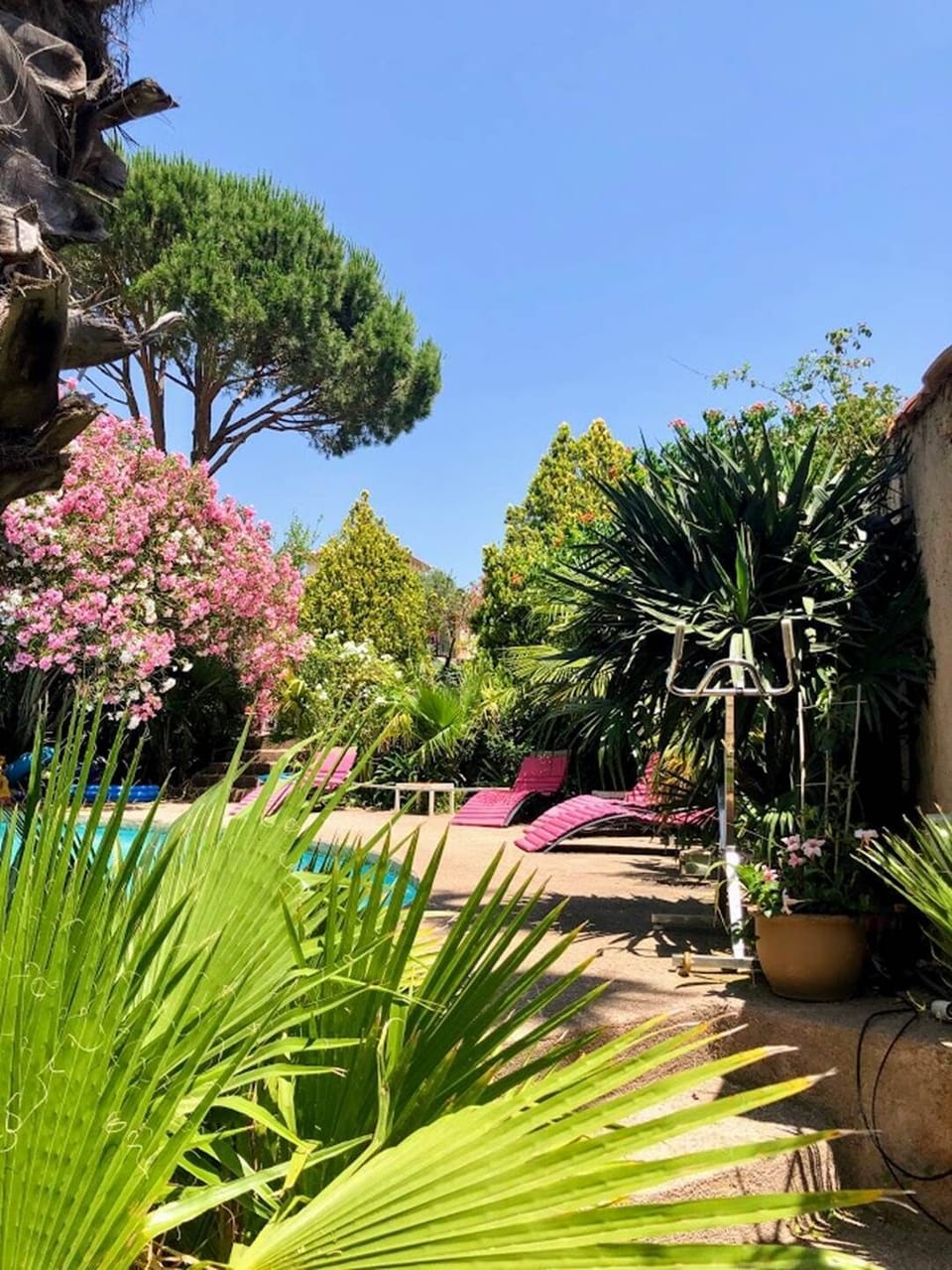 https://www.provence-holidays.com/