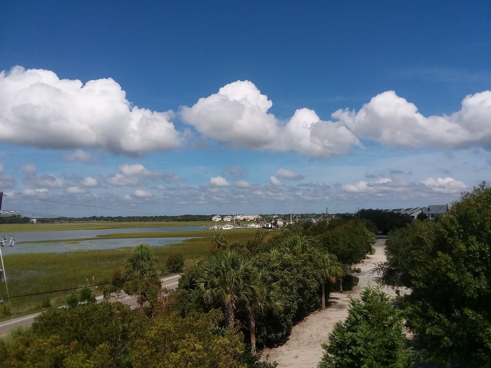 look out over the marsh 