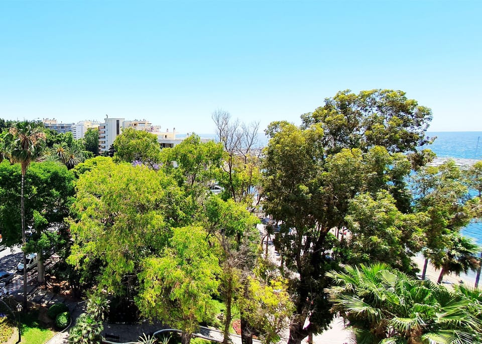 Views from the apartment