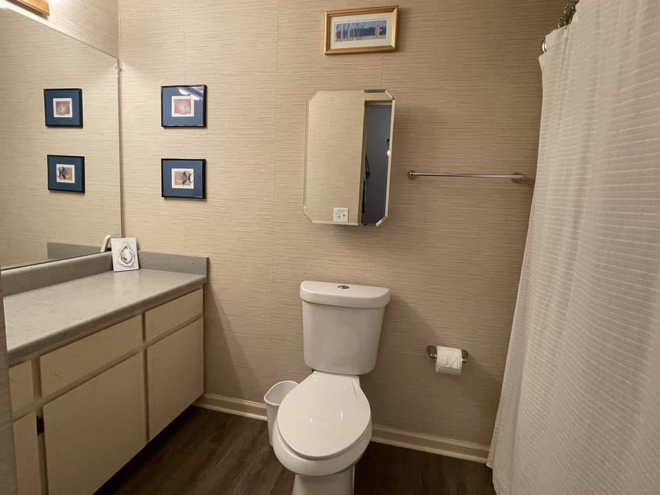 Master bath