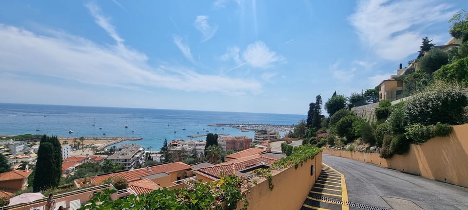 Beach/ocean view
