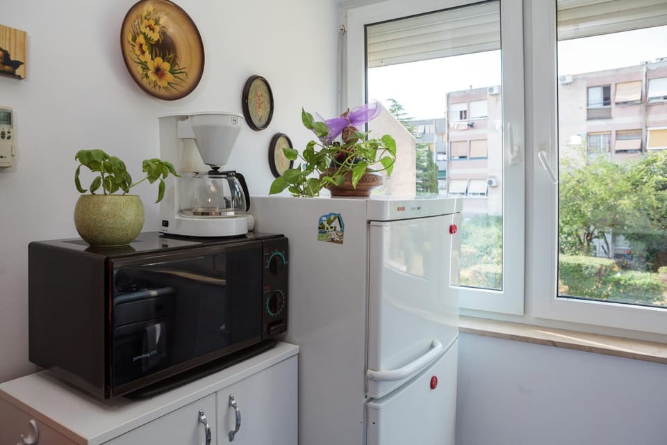 Apartment | Private kitchen | Fridge, microwave, oven, stovetop