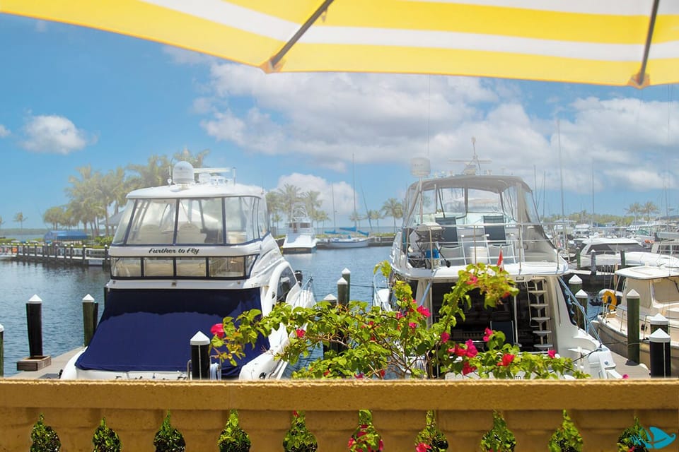 Boating, Fishing, Kayaking...all kinds of watersports are available on our Gulf waters