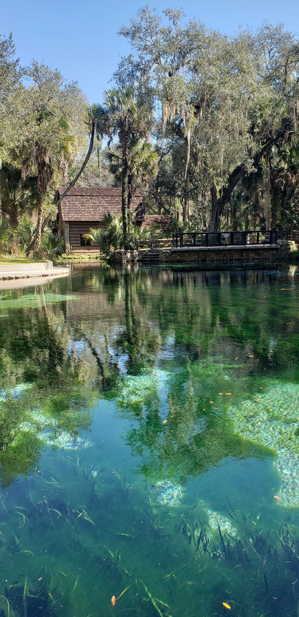 Juniper Springs