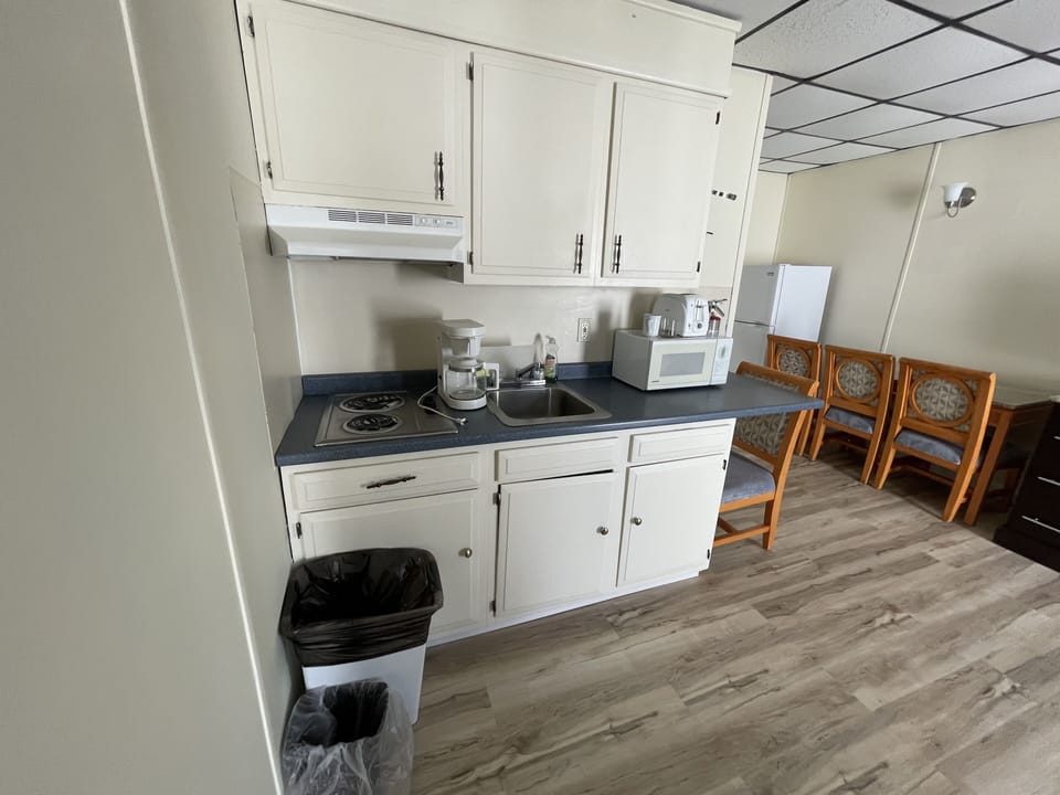 Deluxe Studio | Private kitchen | Fridge, microwave, coffee/tea maker, eco-friendly cleaning products