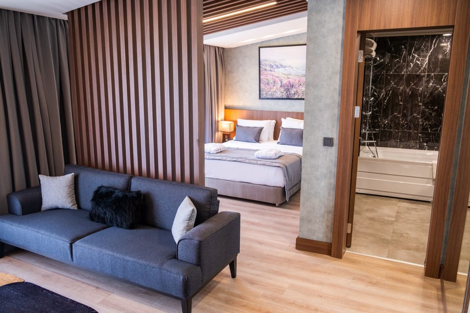 Premium bedding, in-room safe, free WiFi, bed sheets