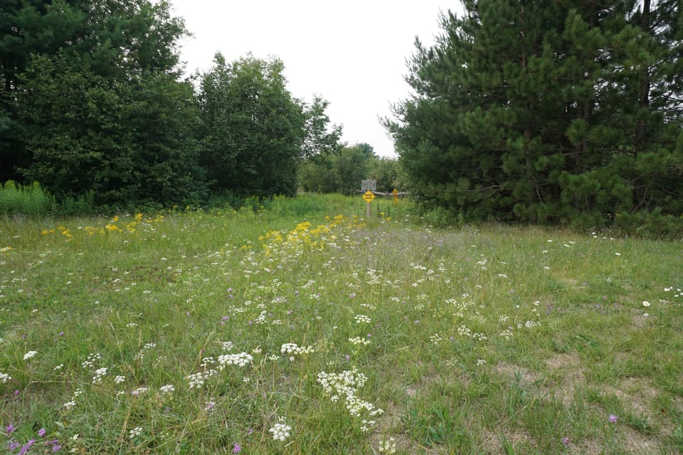 ATV trail behind house