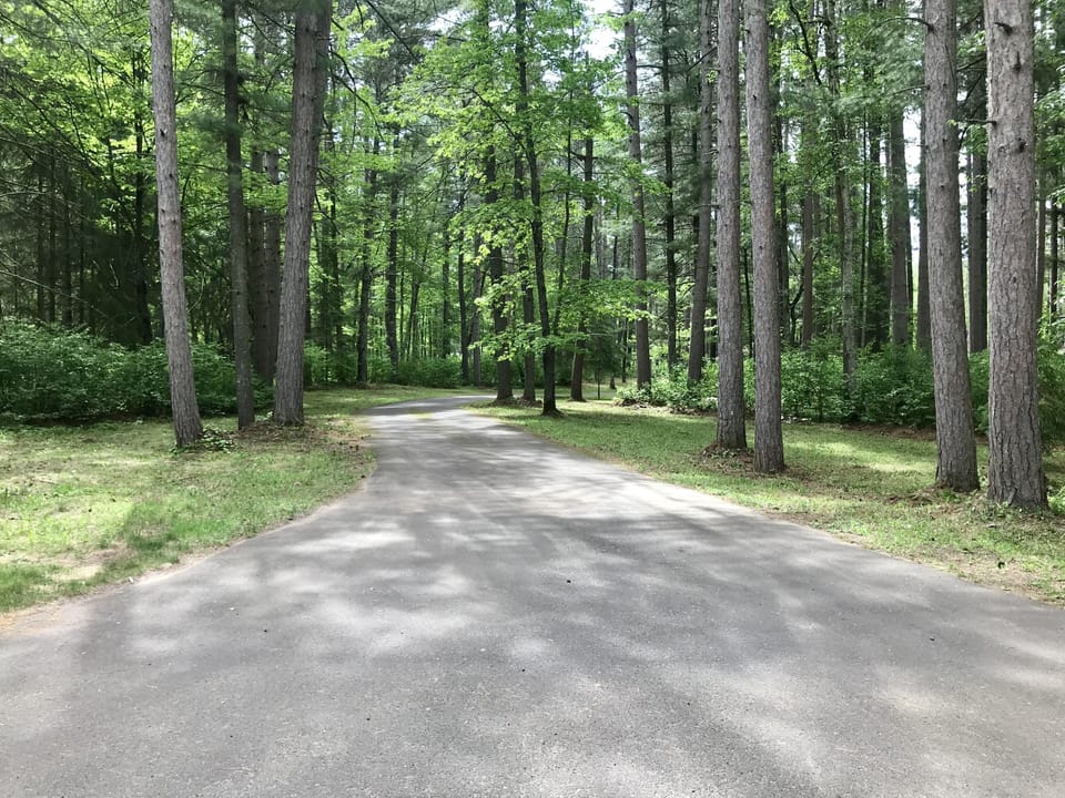 A view from the road into the property. 