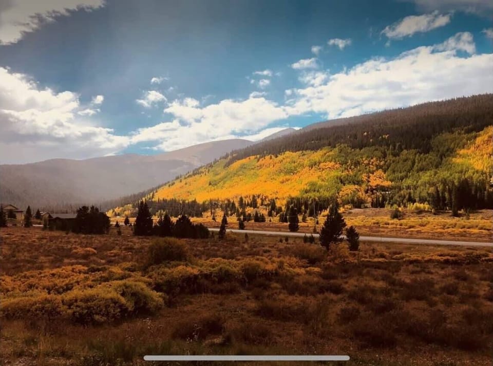 Beautiful view of the Aspens in the summertime!