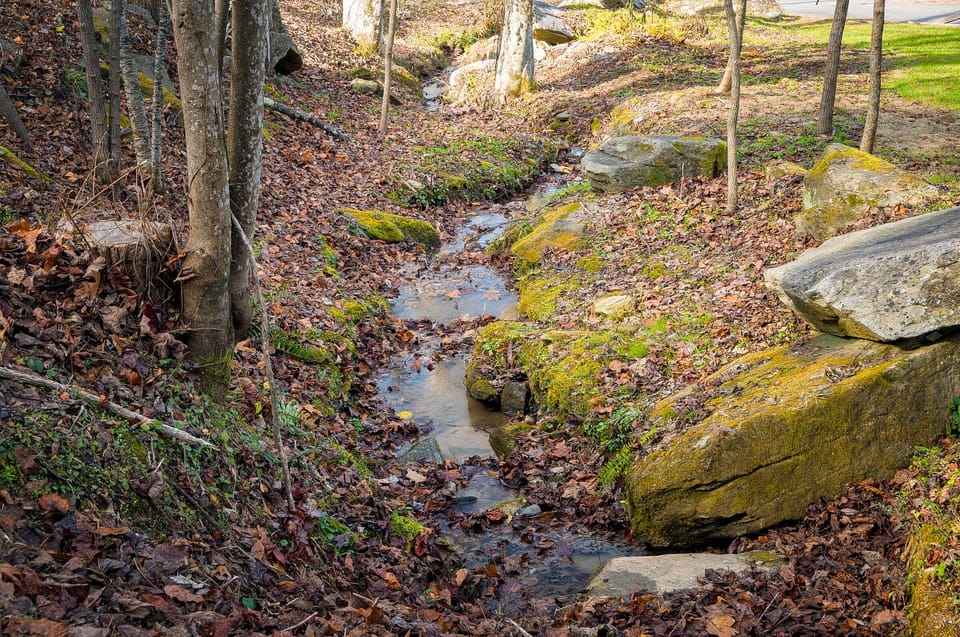 Stream by the cabin

