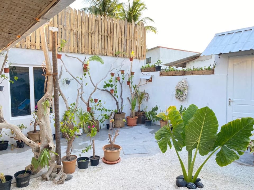 Garden Area