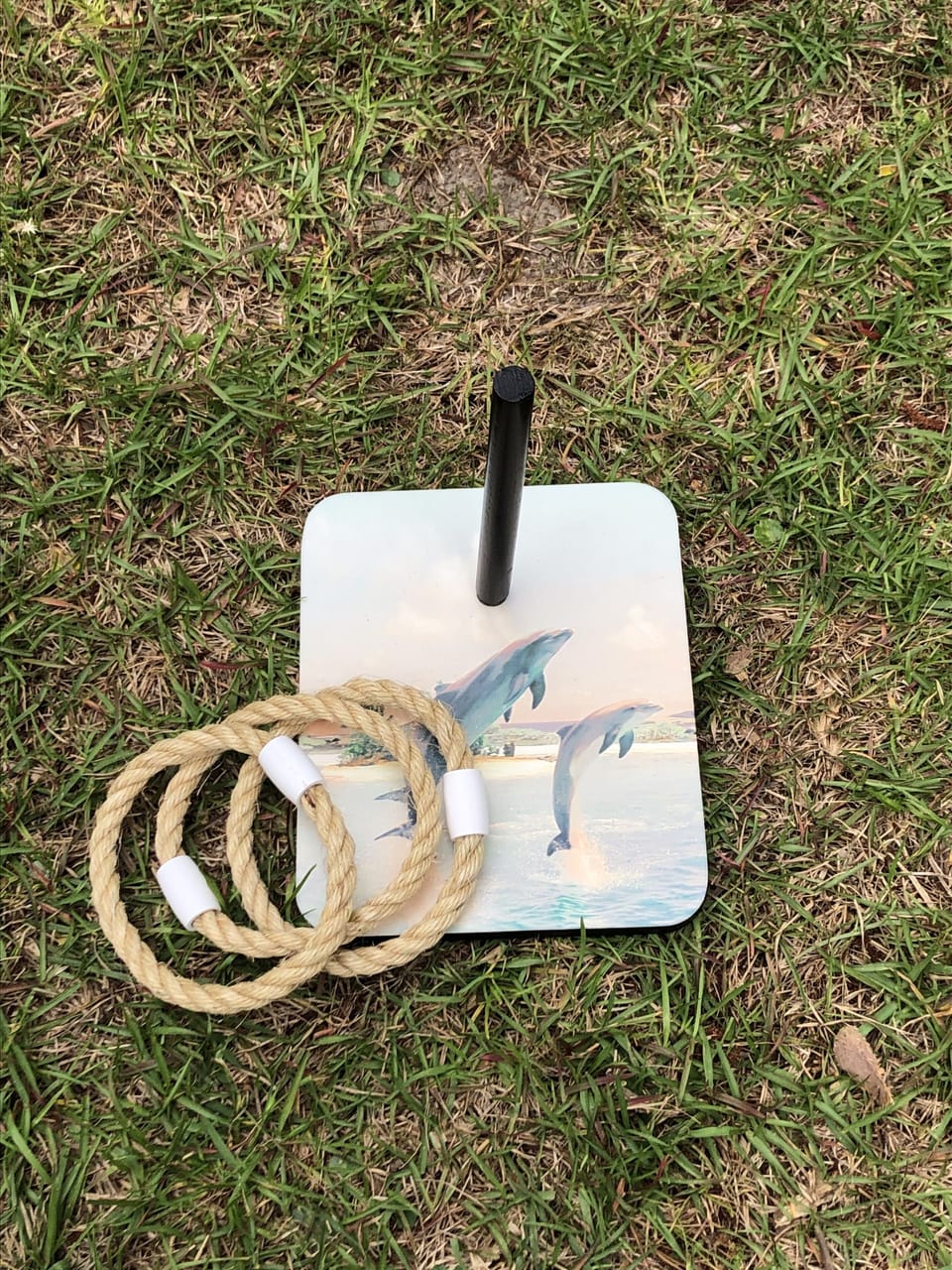 Ring toss game.