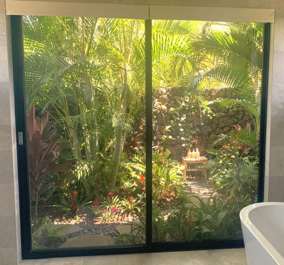 Master bathroom outdoor shower March 2024