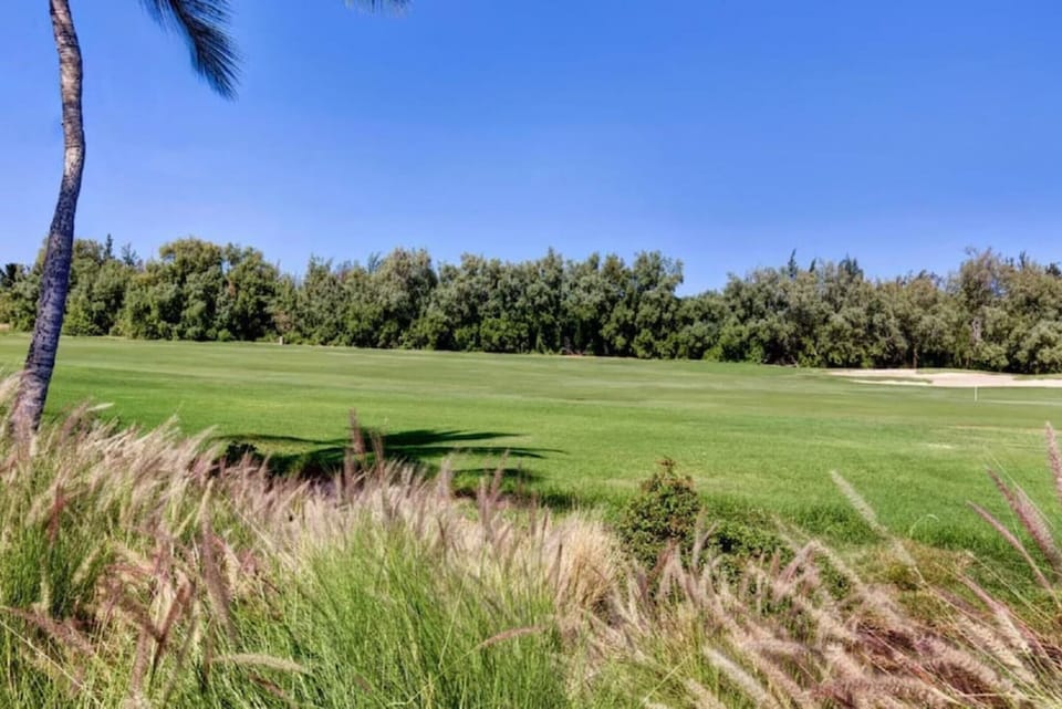 Fairway of the beautiful Beach Golf Course at Waikoloa