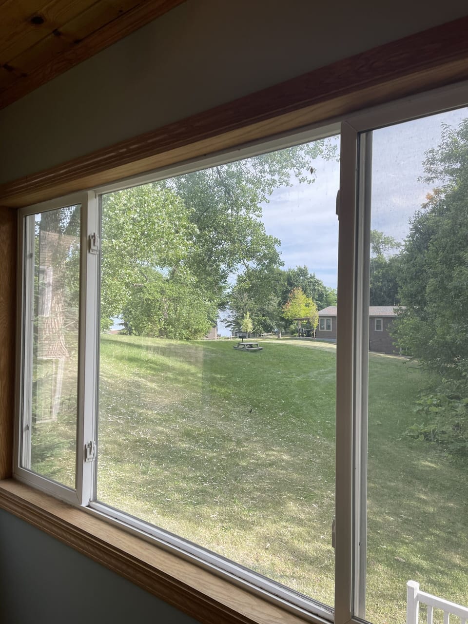 View from dining room 