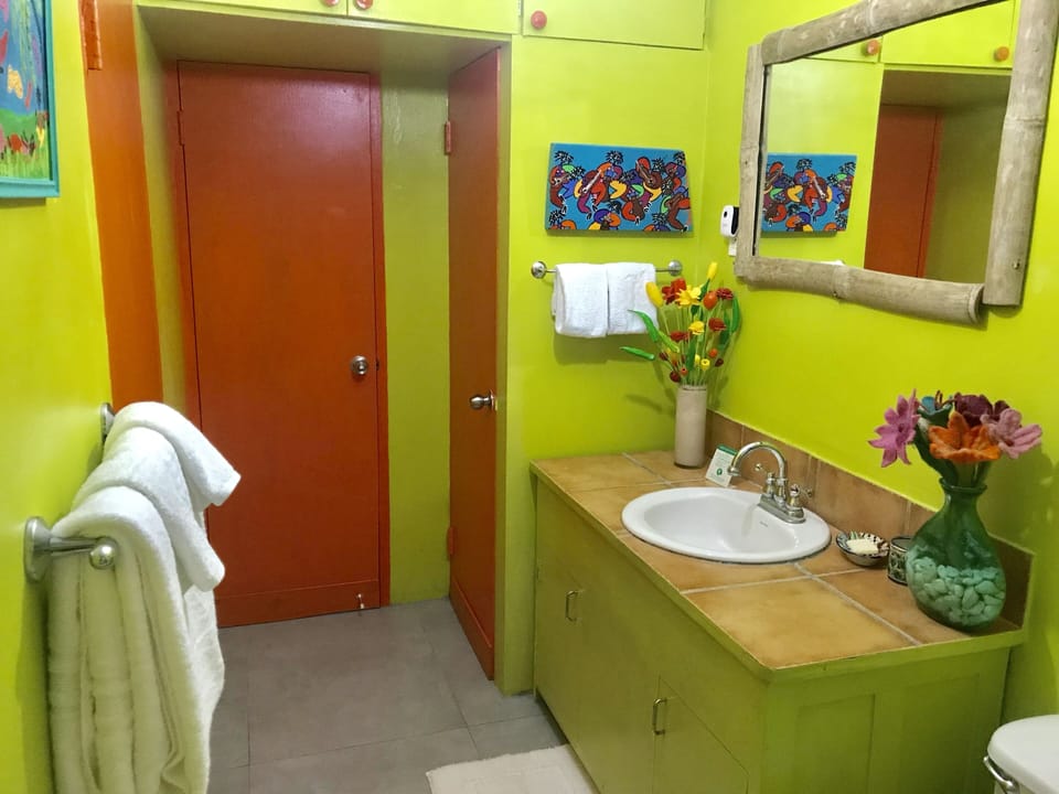 Bathroom. Two entrances. One from bedroom and one from living area. 