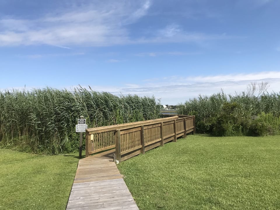 Walkway to gazebo