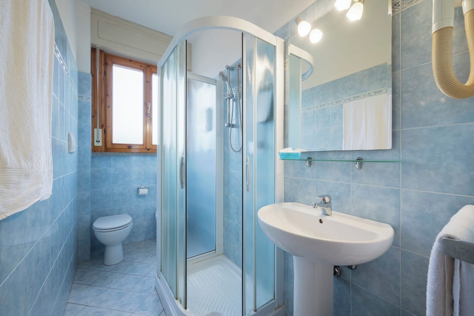 Classic Room, 1 Queen Bed, Balcony, Park View | Bathroom | Shower, free toiletries, hair dryer, bidet