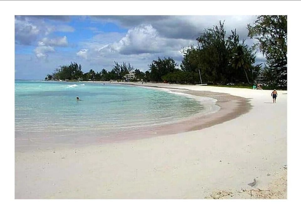 Local beach
