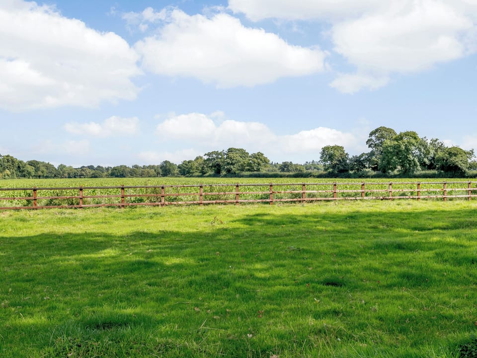 View | Paddock End, Witton, near Brundall