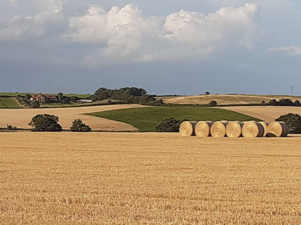 Surrounding area | The Tack Room, Gimingham