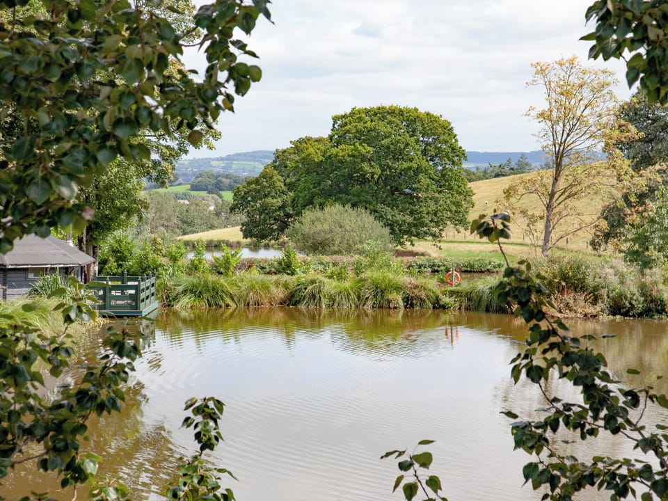 Setting | Coot Roundhouse - Ponsford Ponds, Knowle, near Cullompton