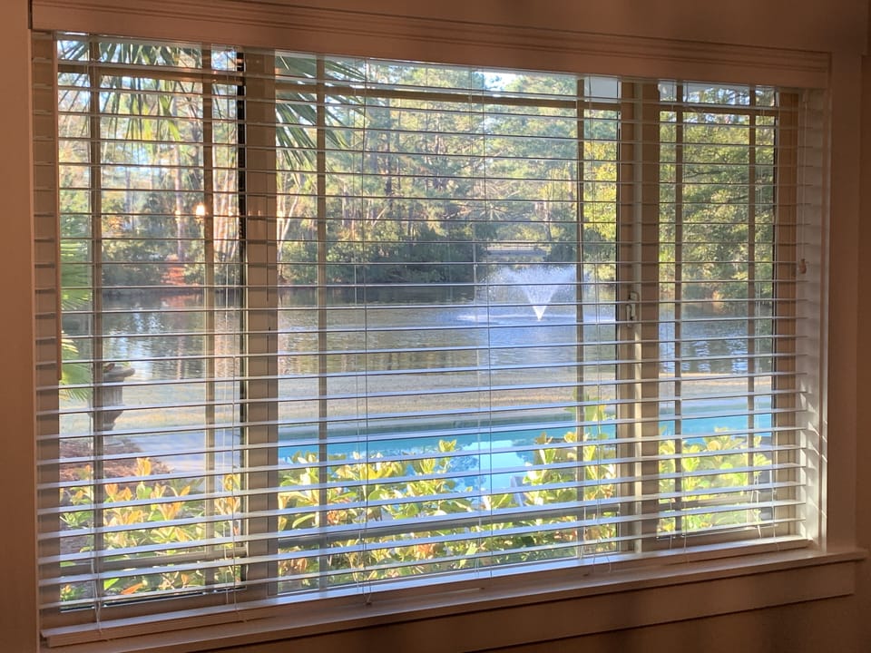 View of the fountain and lagoon from the dining room. Lovely!