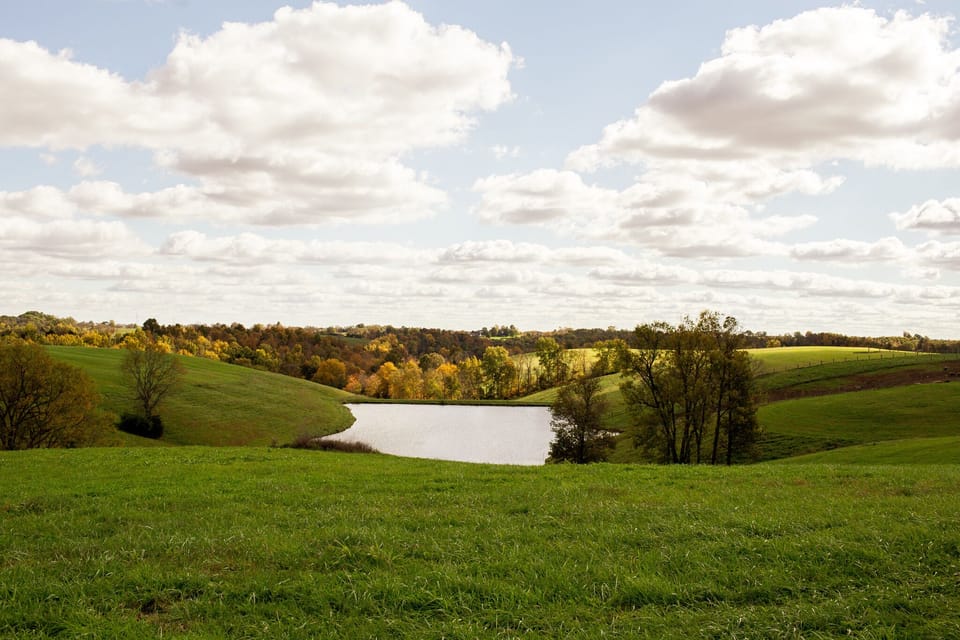 There is a beautiful view of Kentucky from Holland Country Cottage!