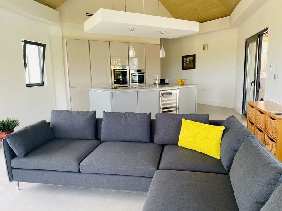 Apt 2 Living Space