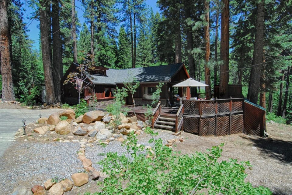 House, Multiple Beds (The Bernstein Bear Cabin) | Property grounds