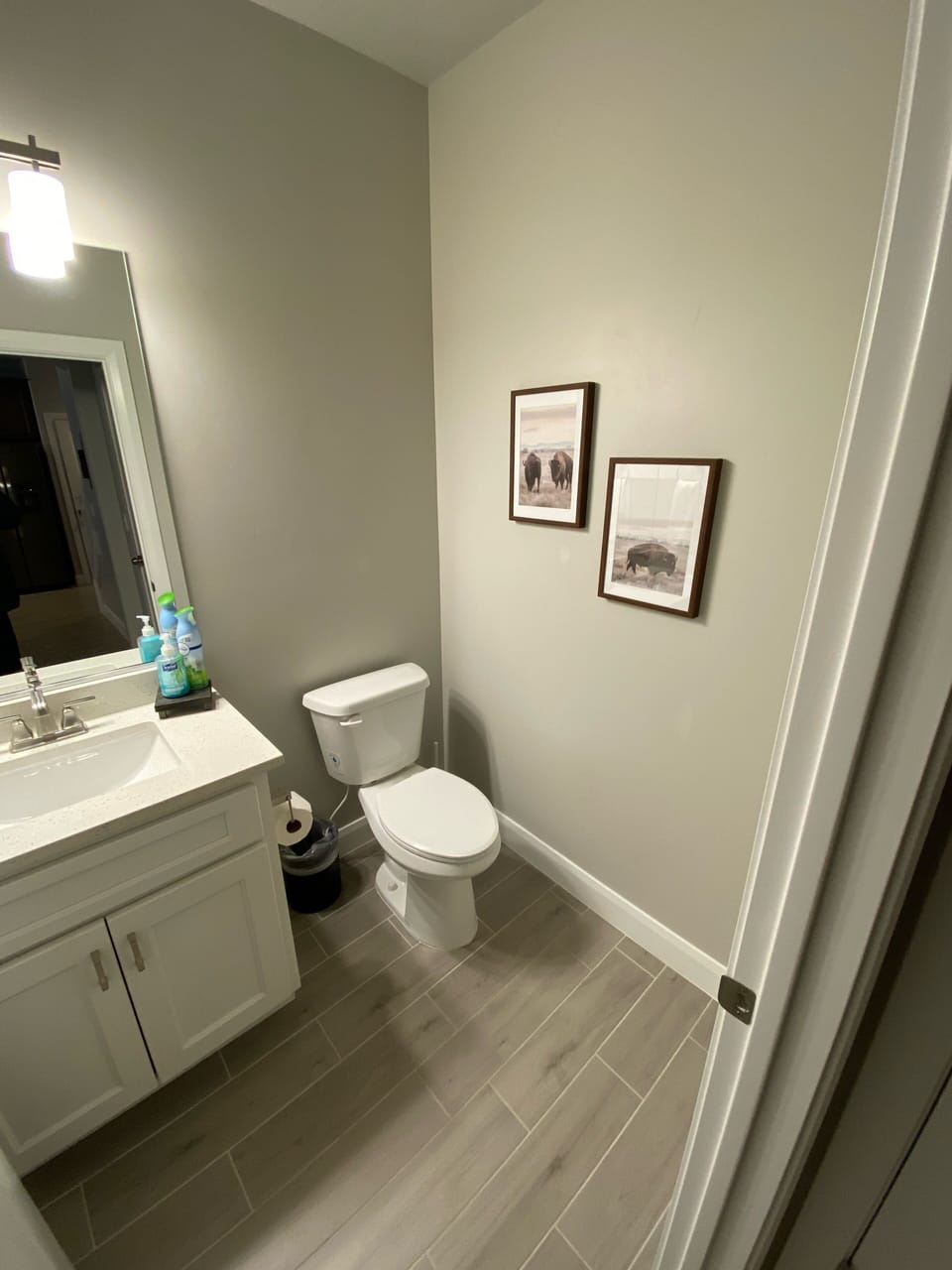 Downstairs 1/2 bathroom 