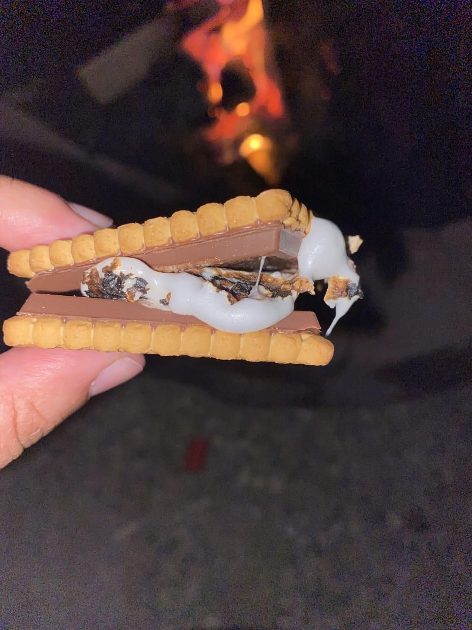 Don't forget s'mores!