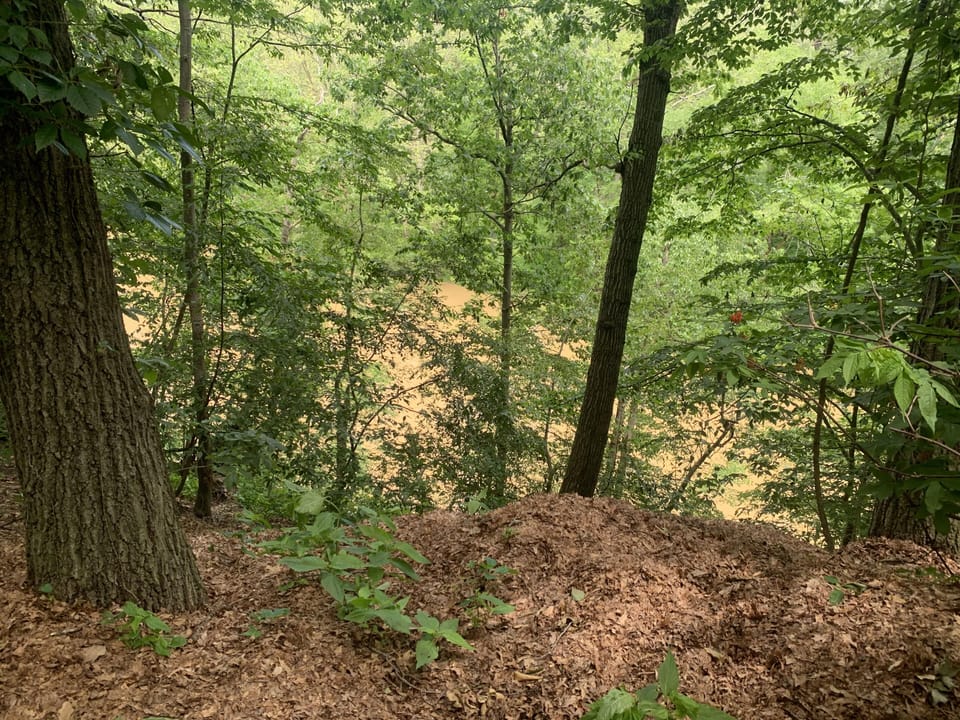 Vermilion River (NO DIRECT ACCESS)