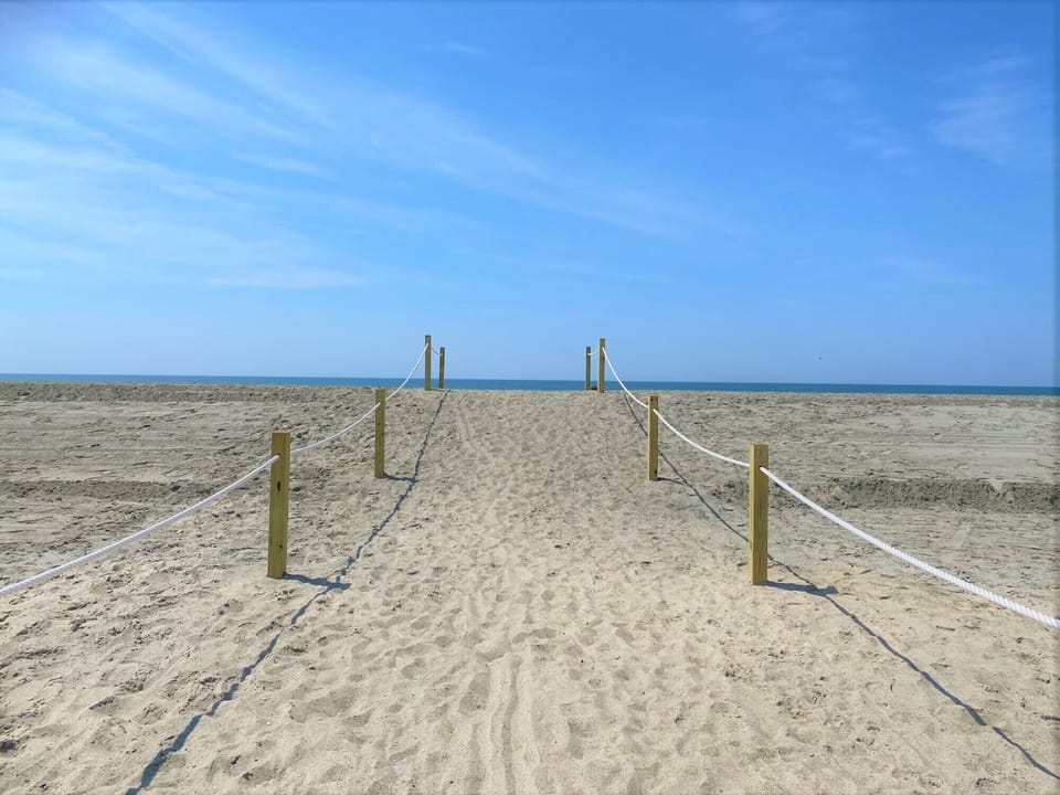Here is the beach access path right after the beach renourishment was completed