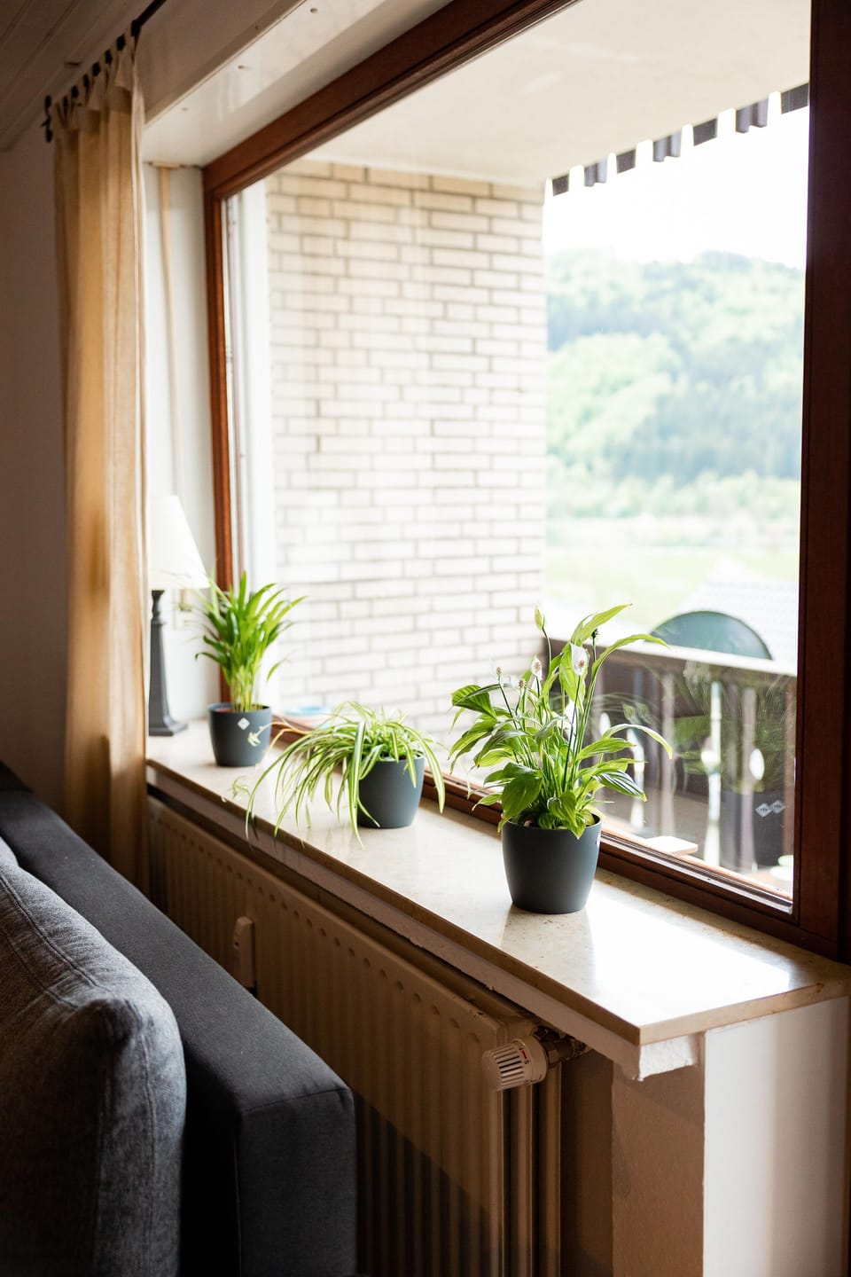 View from property