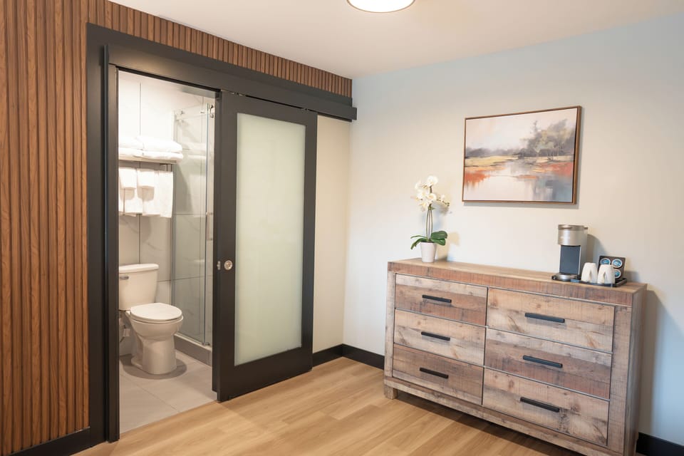 Premium Room, 1 King Bed, Non Smoking | Desk, WiFi (free), individually decorated, individually furnished