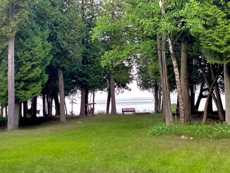 View of the shoreline from the cabin