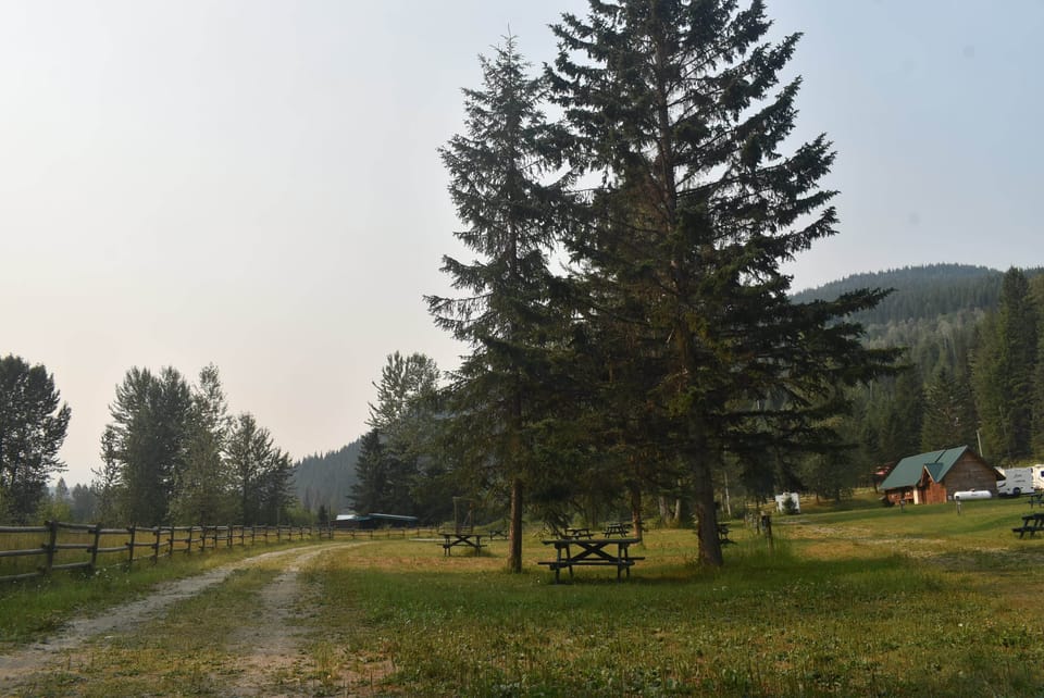 Park view