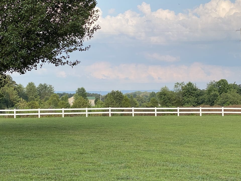 Easier to see mountains in winter, very peaceful view 
