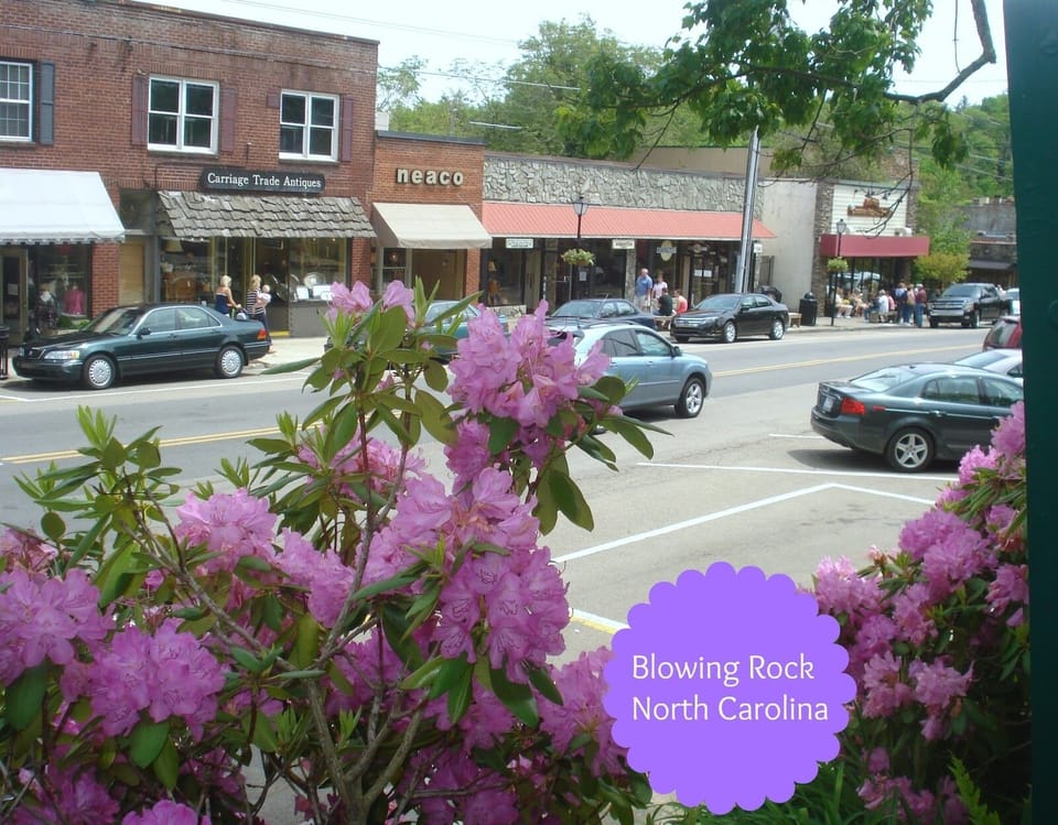 Downtown Blowing Rock has speciality shops and the BEST food!!! 