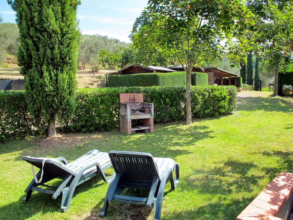 Plant, Property, Furniture, Green, Botany, Nature, Tree, Leaf, Table, Outdoor Furniture