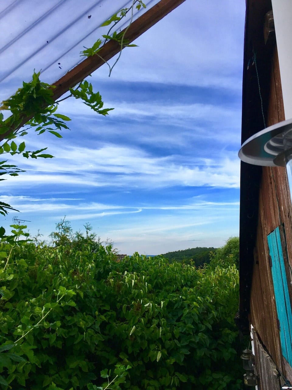 View from property