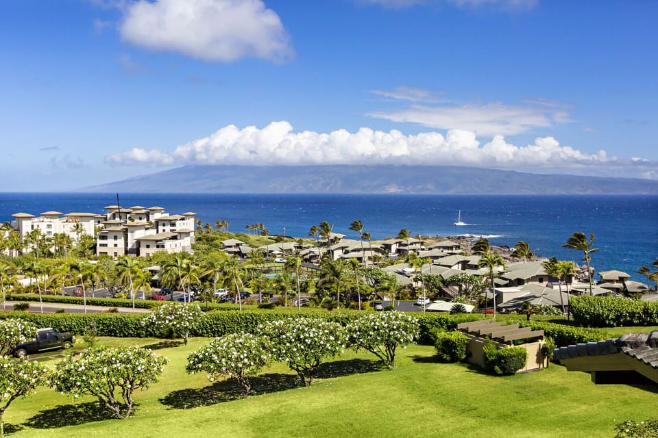 Ocean view