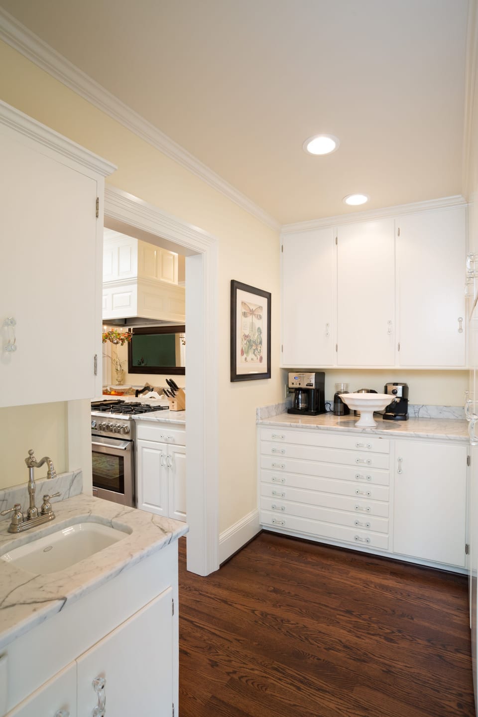 Butler's Pantry/ off Side Door 