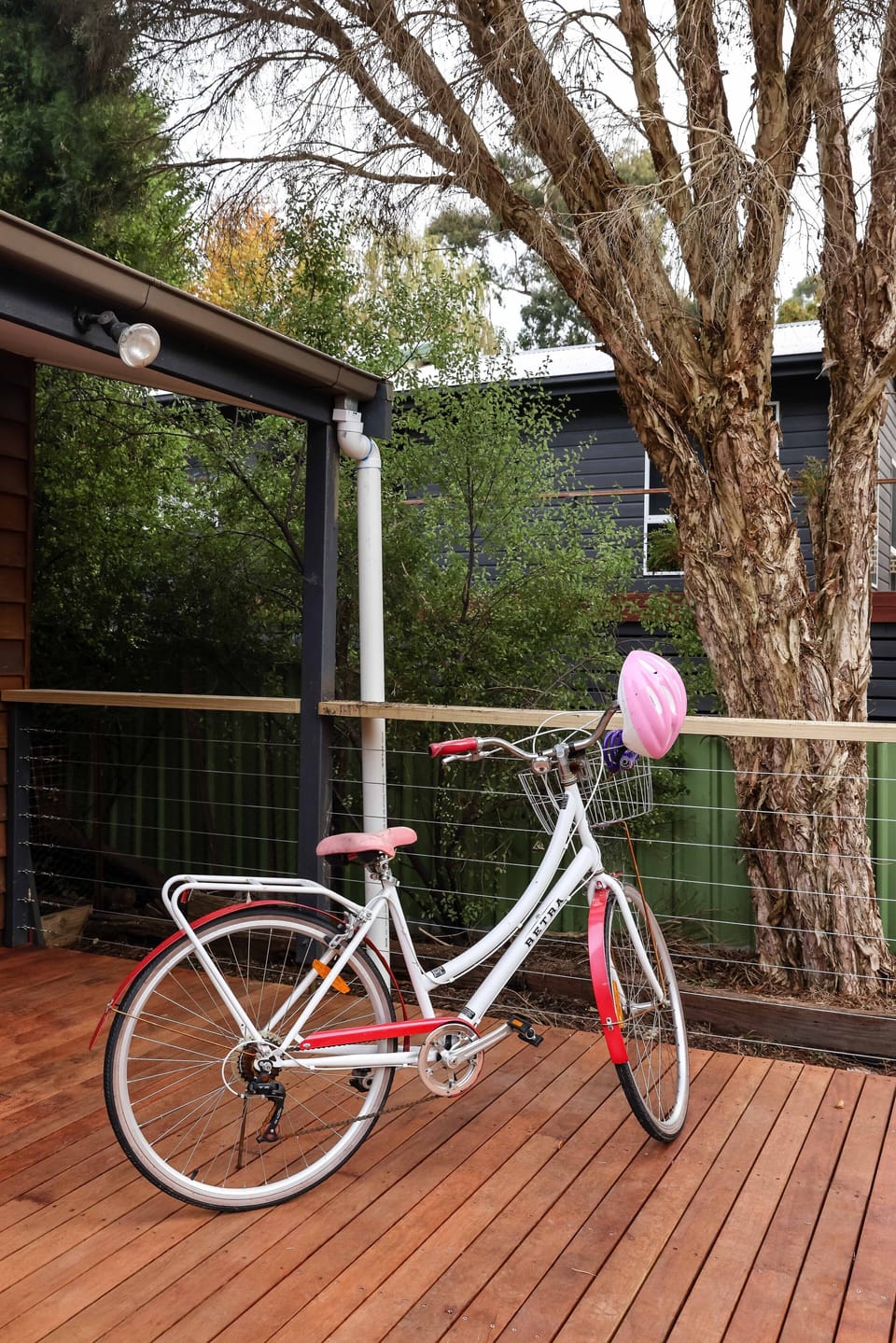 Bicycling